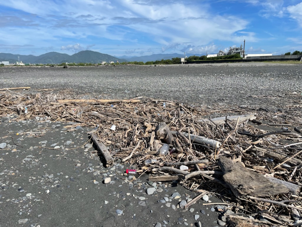 中島海岸清掃活動流木とゴミが入り混じっています